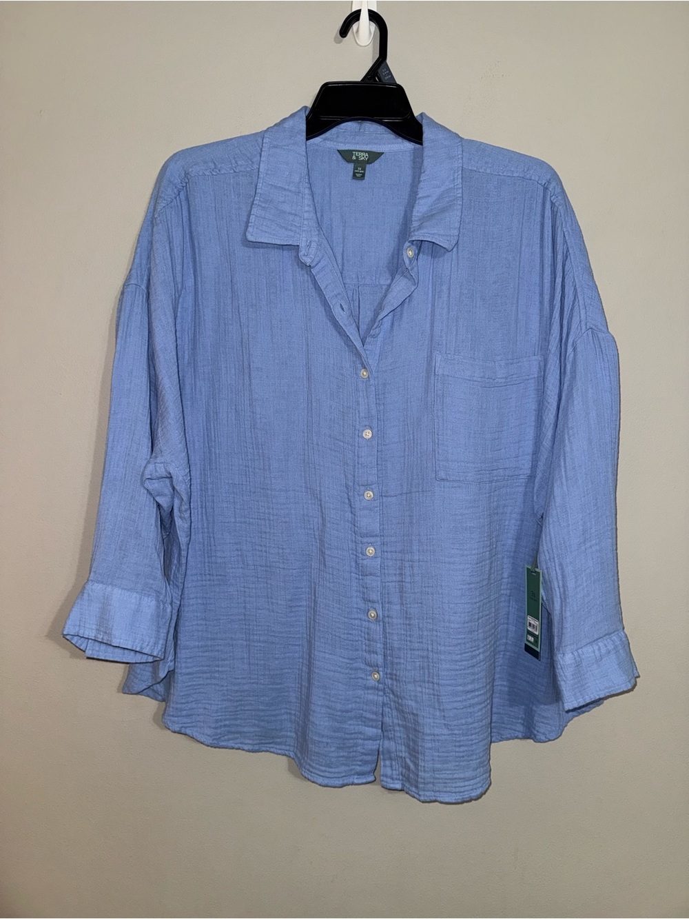 Terra & Sky Light Blue Button-Up Boyfriend Shirt 3X